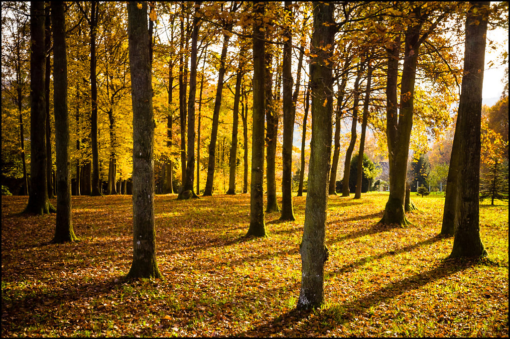 Villeneuve-sur-Bellot, Seine-et-Marne, France