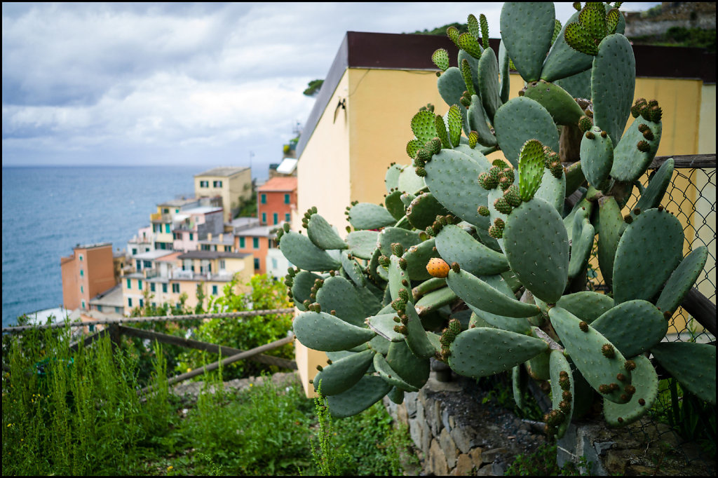 Riomaggiore, Ligurie, Italie