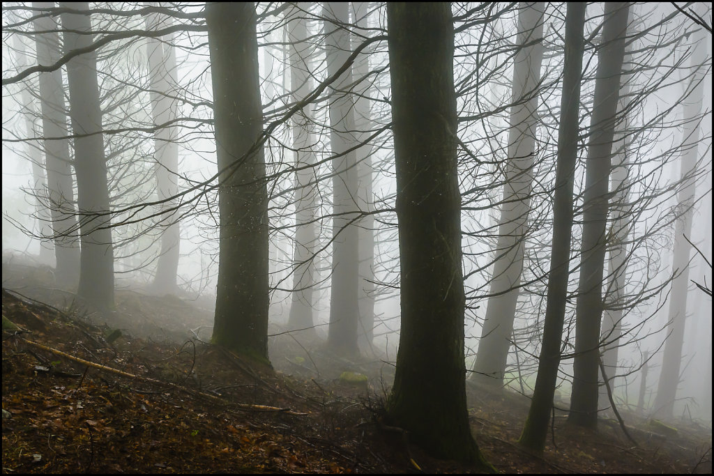 Arfeuilles, Allier, France