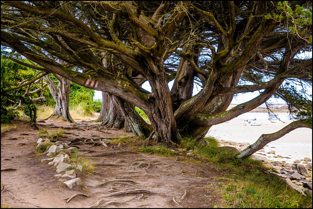 Île Grande, Côtes d'Armor, France