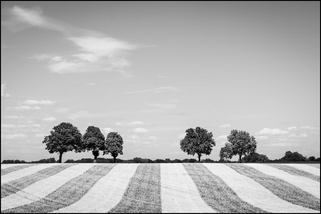 Lemé, Aisne, France